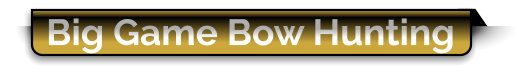 Big Game Bow Hunting